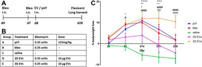 Effect of 2D and 3D Culture Microenvironments on Mesenchymal Stem Cell-Derived Extracellular Vesicles Potencies